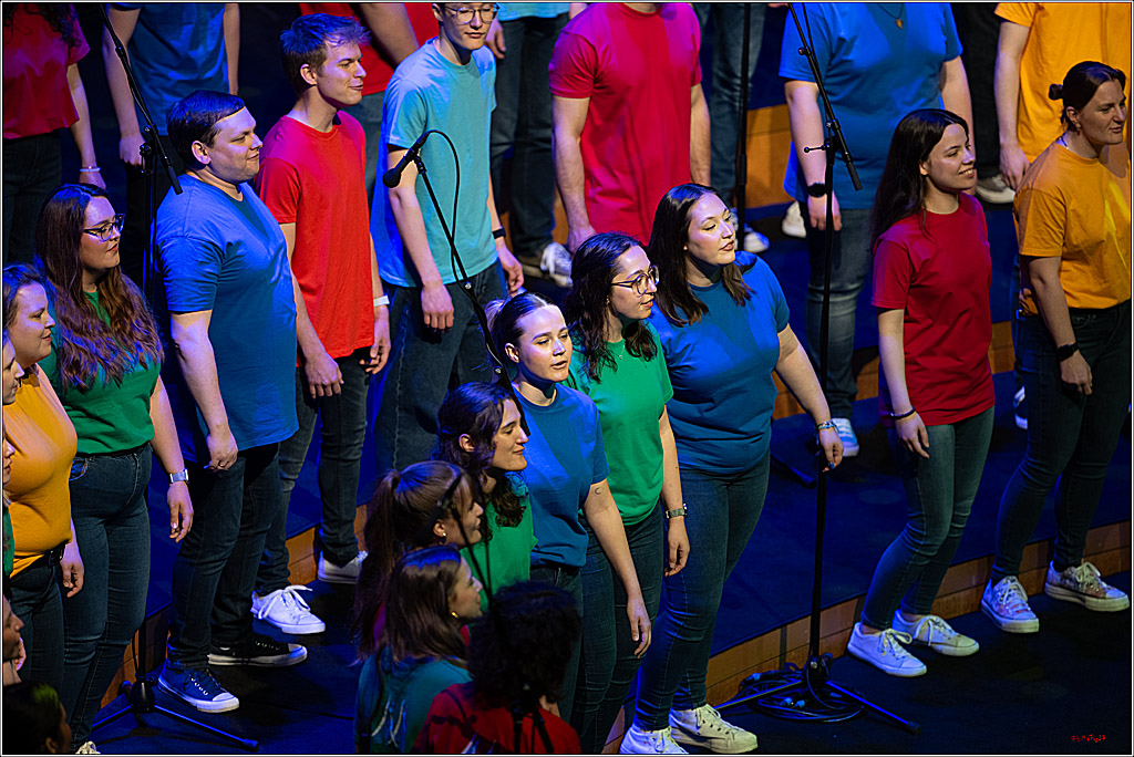 Singen macht glücklich - Sommerkonzert, 07.06.2026