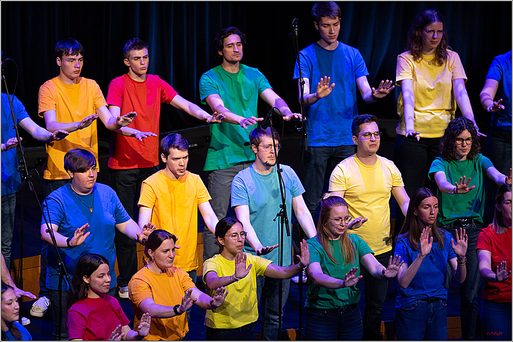 Singen macht glücklich - Sommerkonzert, 07.06.2026