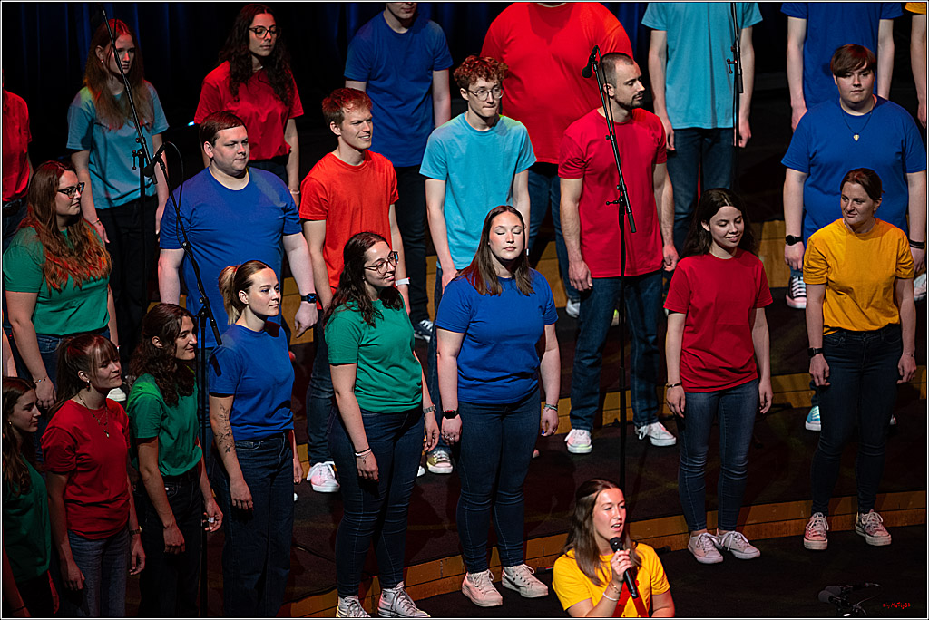 Singen macht glücklich - Sommerkonzert, 07.06.2026