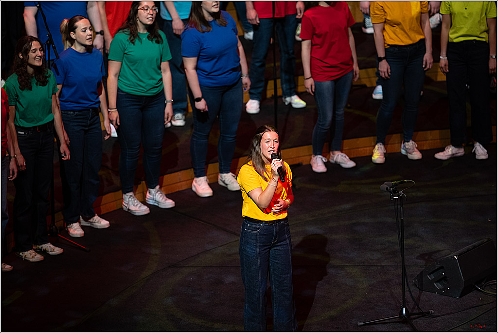Singen macht glücklich - Sommerkonzert, 07.06.2026