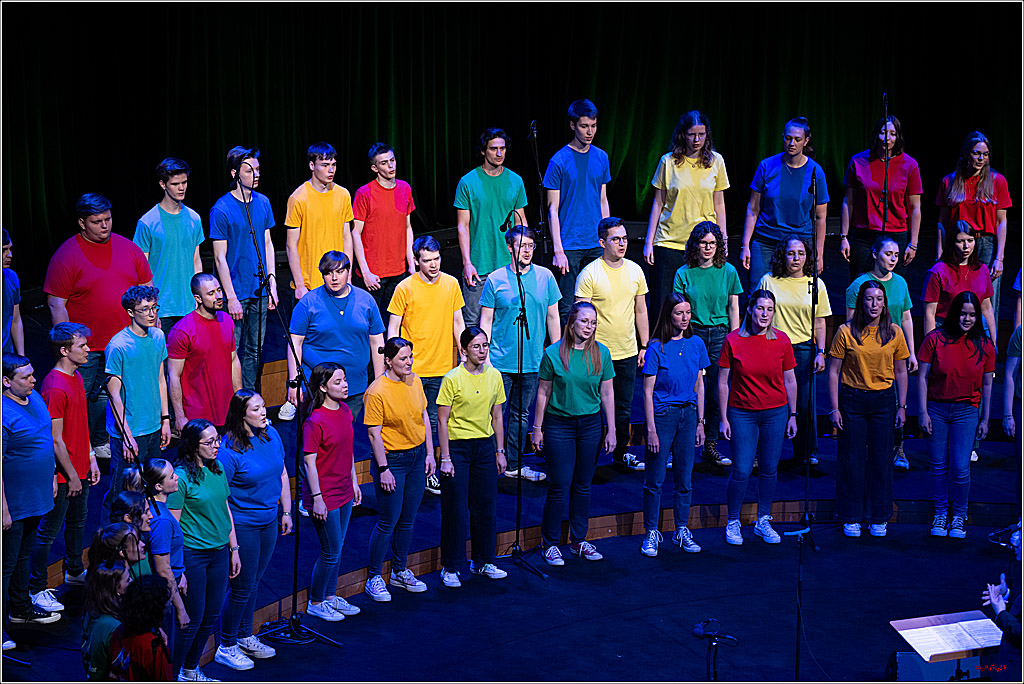 Singen macht glücklich - Sommerkonzert, 07.06.2026