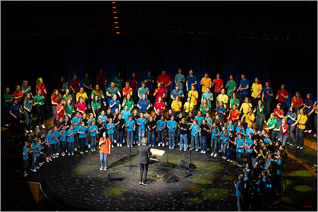 Singen macht glücklich - Sommerkonzert, 07.06.2026