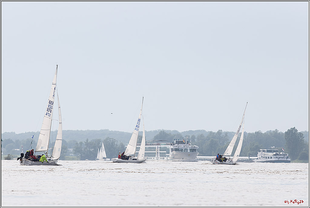 Rheinwoche 2024, 19.05.2024