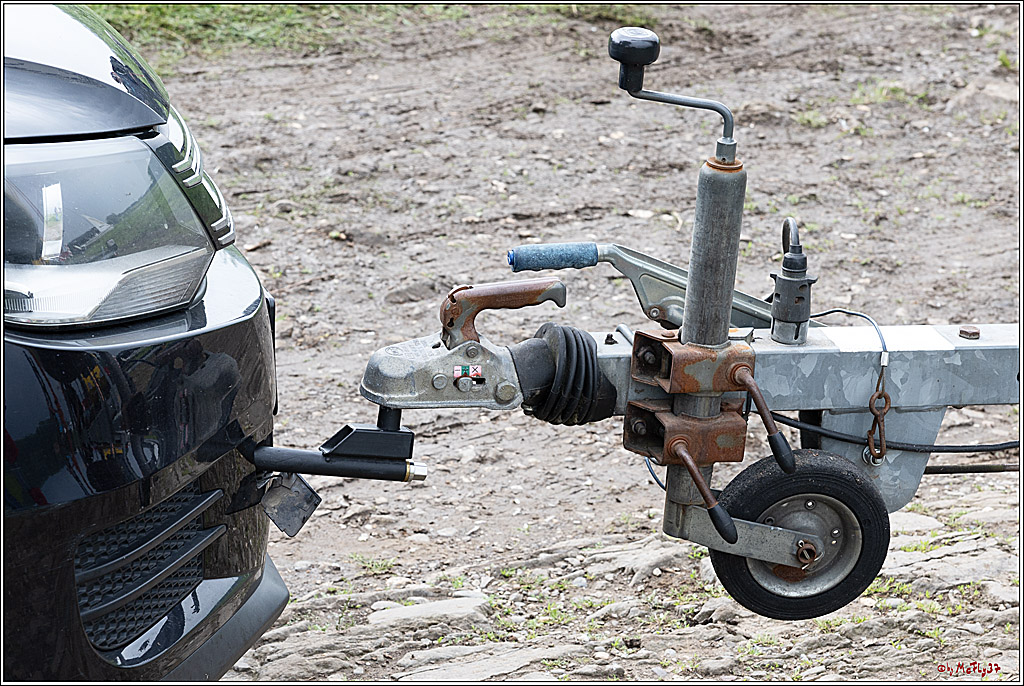 Rheinwoche 2024, 17.05.2024