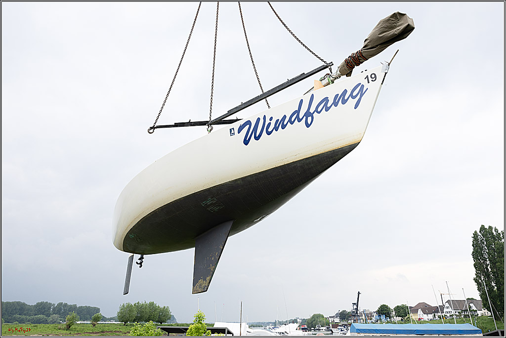 Rheinwoche 2024, 17.05.2024