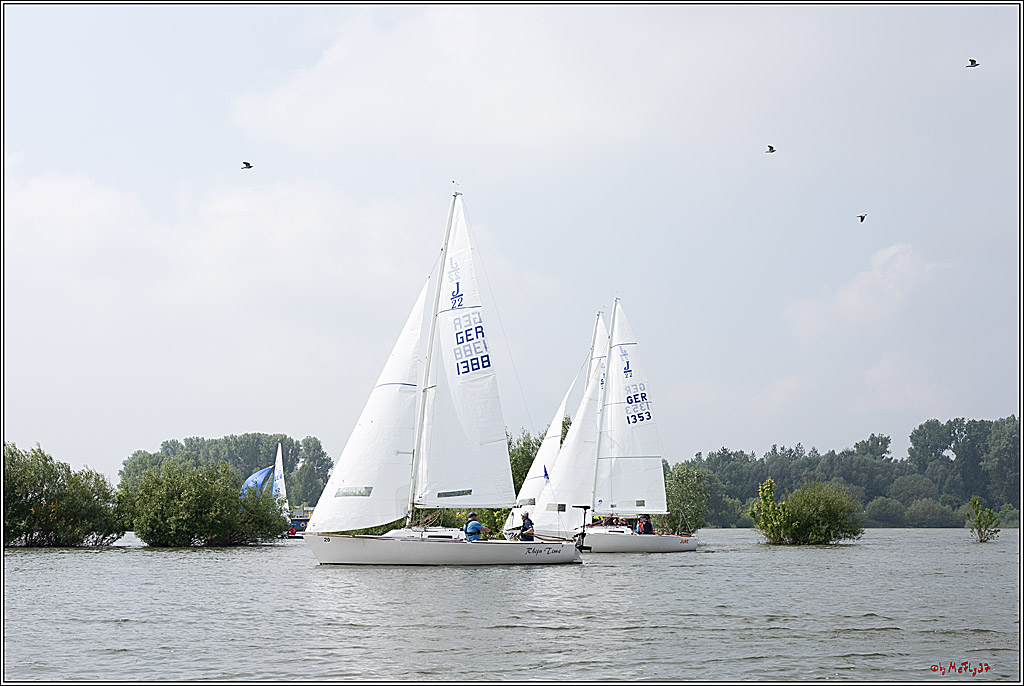 Rheinwoche 2024, 18.05.2024
