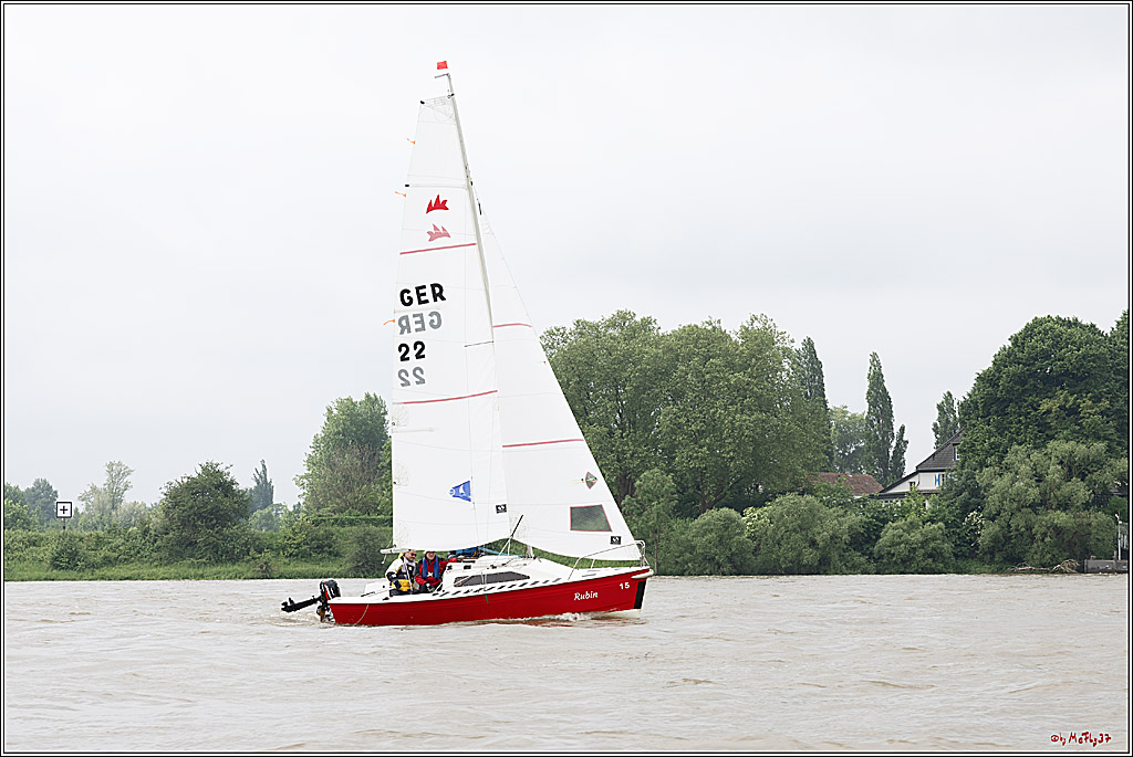 Rheinwoche 2024, 19.05.2024