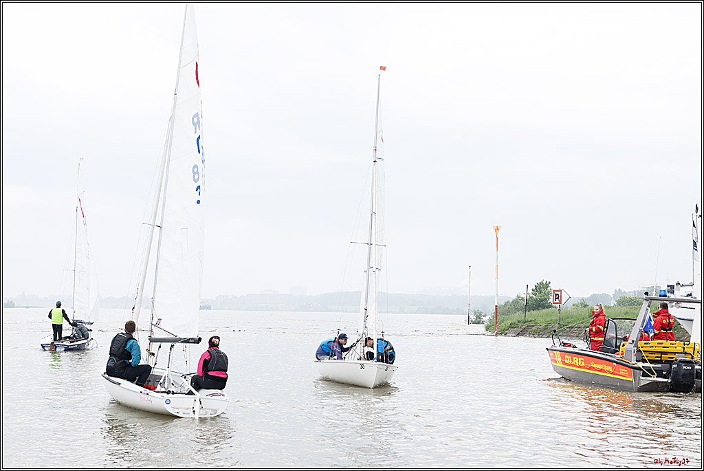Rheinwoche 2024, 19.05.2024