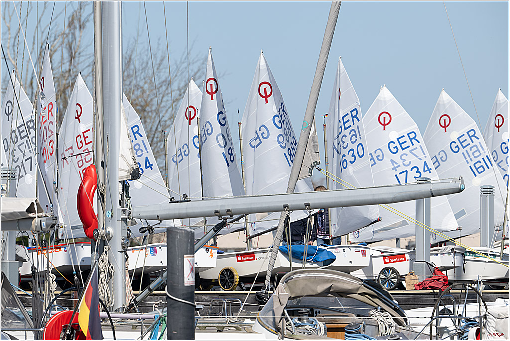 Opti WM - EM Ausscheidung 2026, 01.05.2026