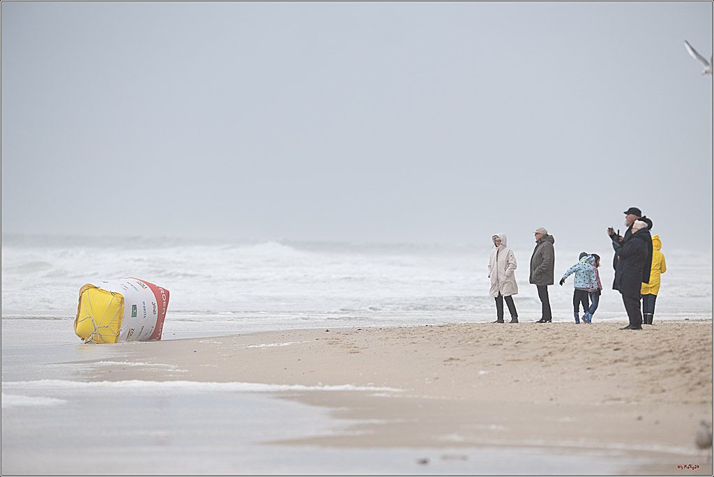 Citroën Windsurf World Cup Sylt - 2025 - Wave Men Women; Westerland, 04.10.2025