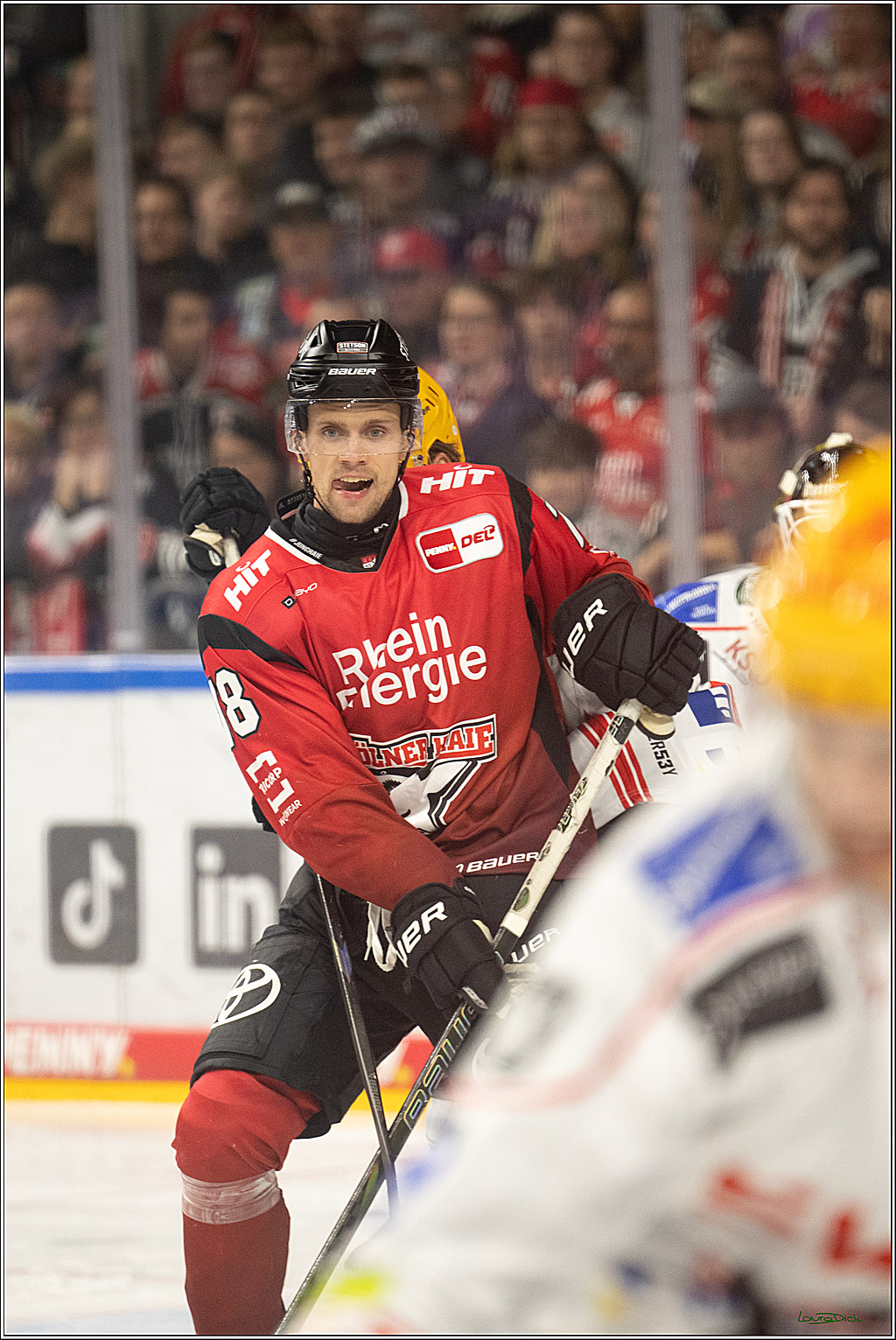 009 KEC Fischtown Pinguins Bremerhaven 4 1  2025