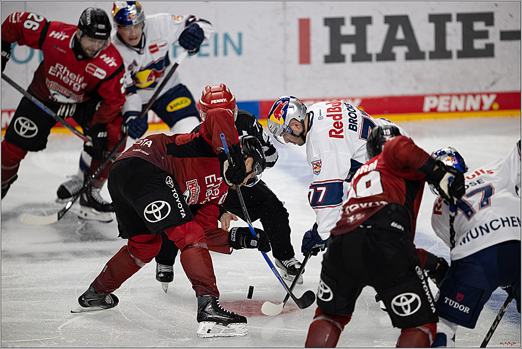 PENNY DEL 1; Kölner Haie - EHC Red Bull München; Köln, 02.11.2025