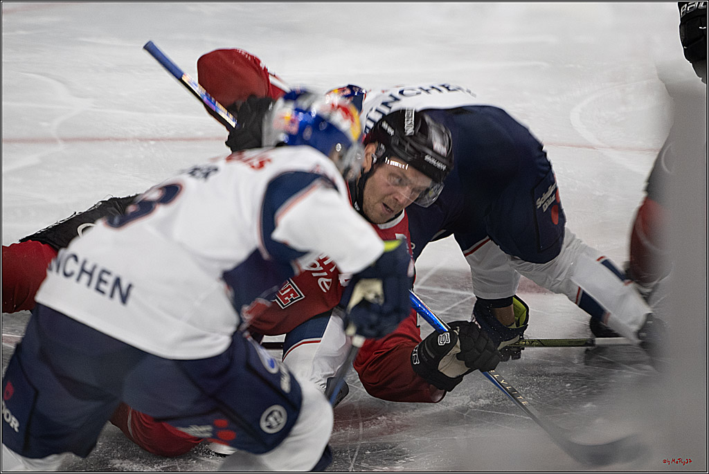 PENNY DEL 1; Kölner Haie - EHC Red Bull München; Köln, 02.11.2025