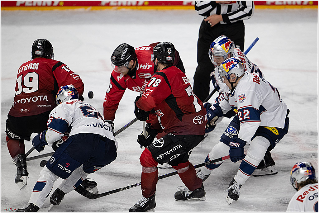 PENNY DEL 1; Kölner Haie - EHC Red Bull München; Köln, 02.11.2025