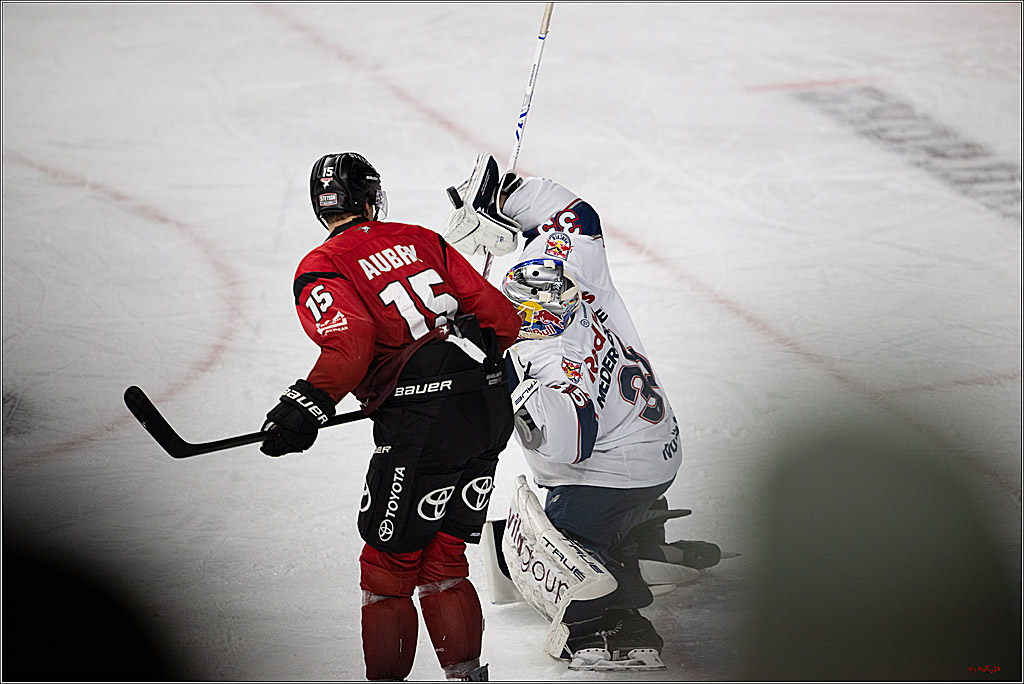 PENNY DEL 1; Kölner Haie - EHC Red Bull München; Köln, 02.11.2025