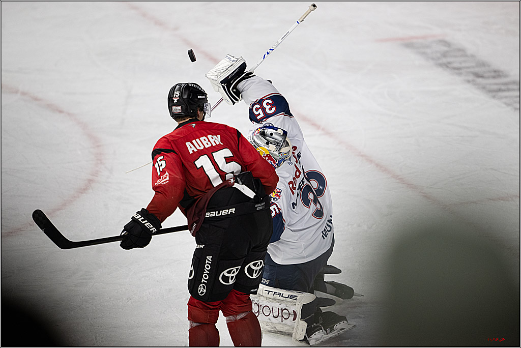 PENNY DEL 1; Kölner Haie - EHC Red Bull München; Köln, 02.11.2025