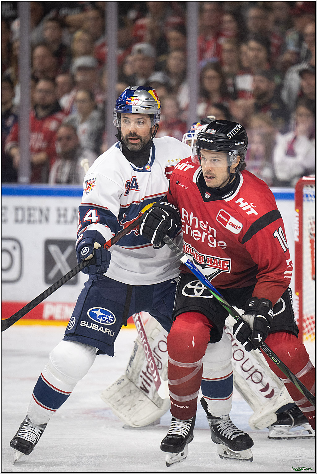 PENNY DEL 1; Koelner Haie - EHC Red Bull Muenchen; Koeln, 02.11.2025
