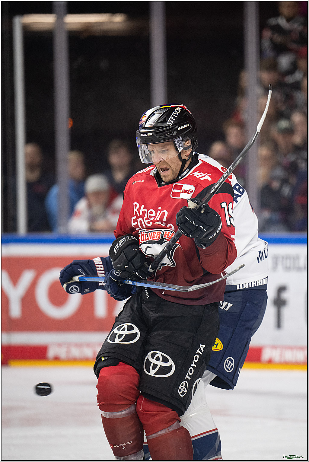 PENNY DEL 1; Koelner Haie - EHC Red Bull Muenchen; Koeln, 02.11.2025