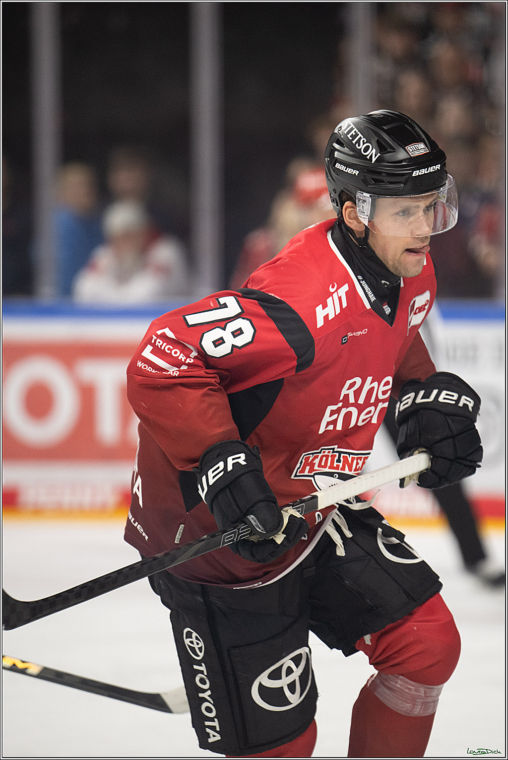 PENNY DEL 1; Koelner Haie - EHC Red Bull Muenchen; Koeln, 02.11.2025