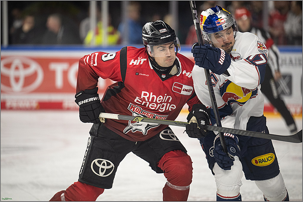 PENNY DEL 1; Koelner Haie - EHC Red Bull Muenchen; Koeln, 02.11.2025