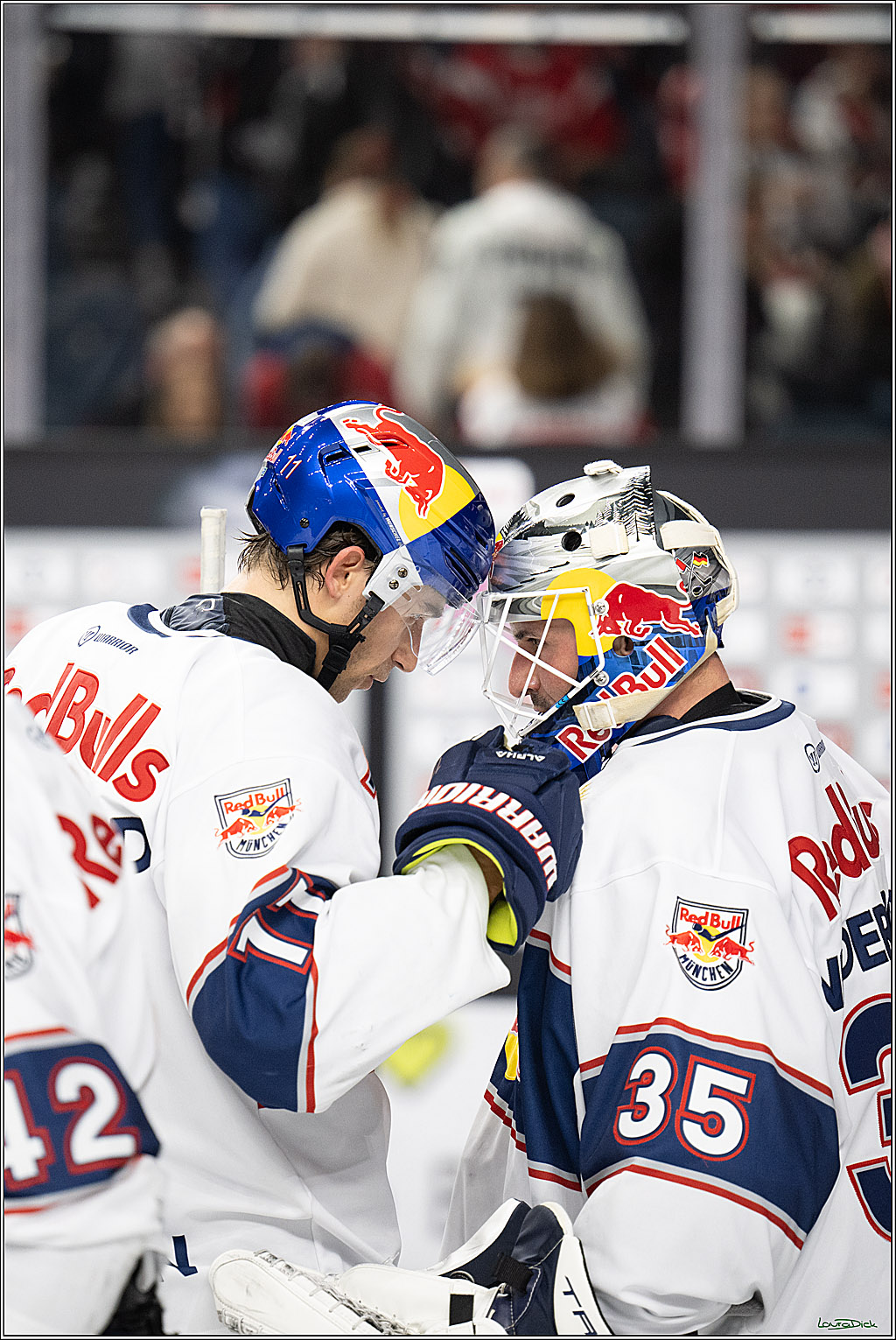 PENNY DEL 1; Koelner Haie - EHC Red Bull Muenchen; Koeln, 02.11.2025