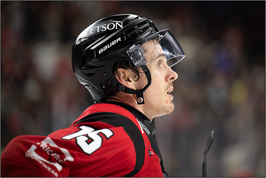 PENNY DEL 1; Koelner Haie - EHC Red Bull Muenchen; Koeln, 02.11.2025