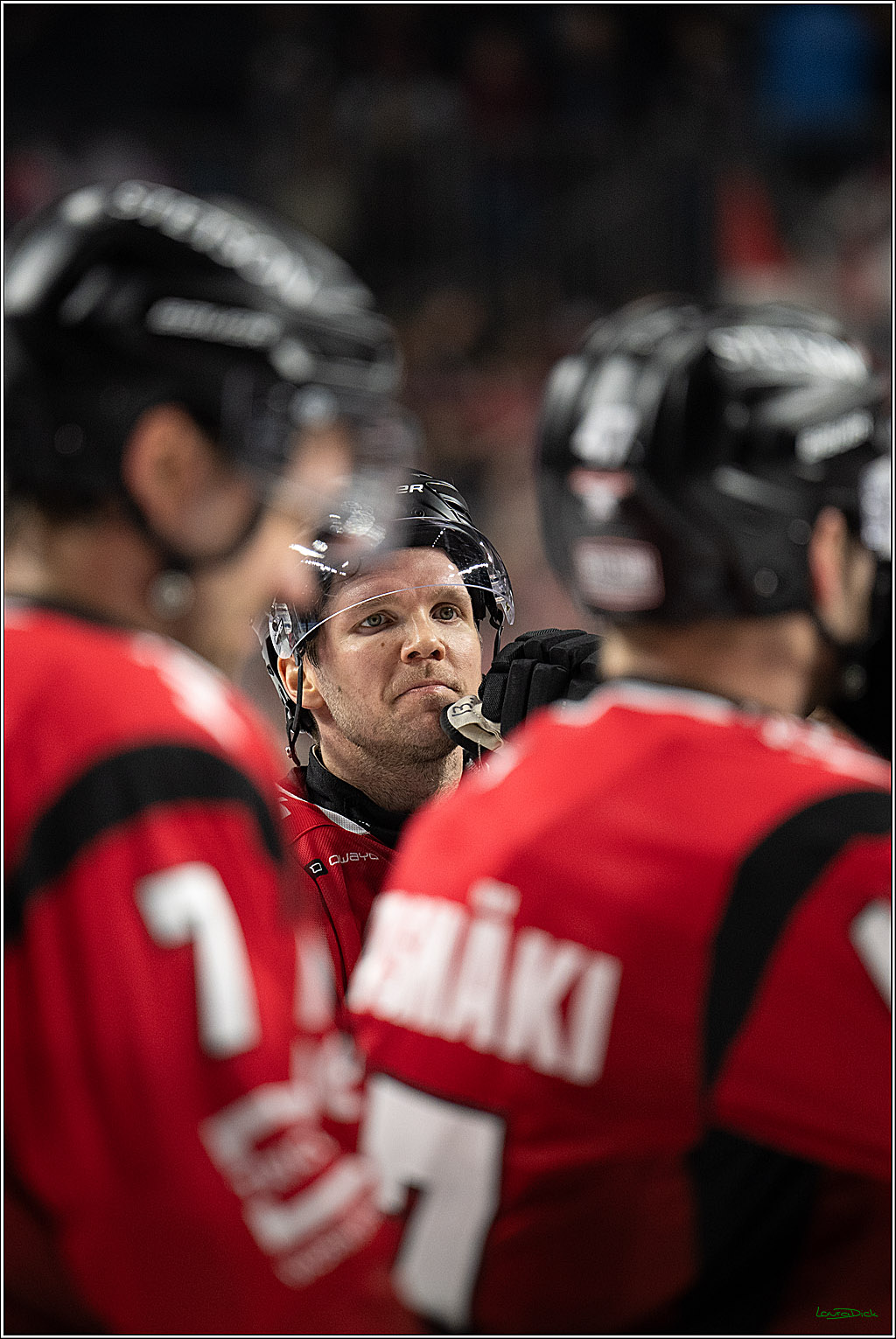 PENNY DEL 1; Koelner Haie - EHC Red Bull Muenchen; Koeln, 02.11.2025