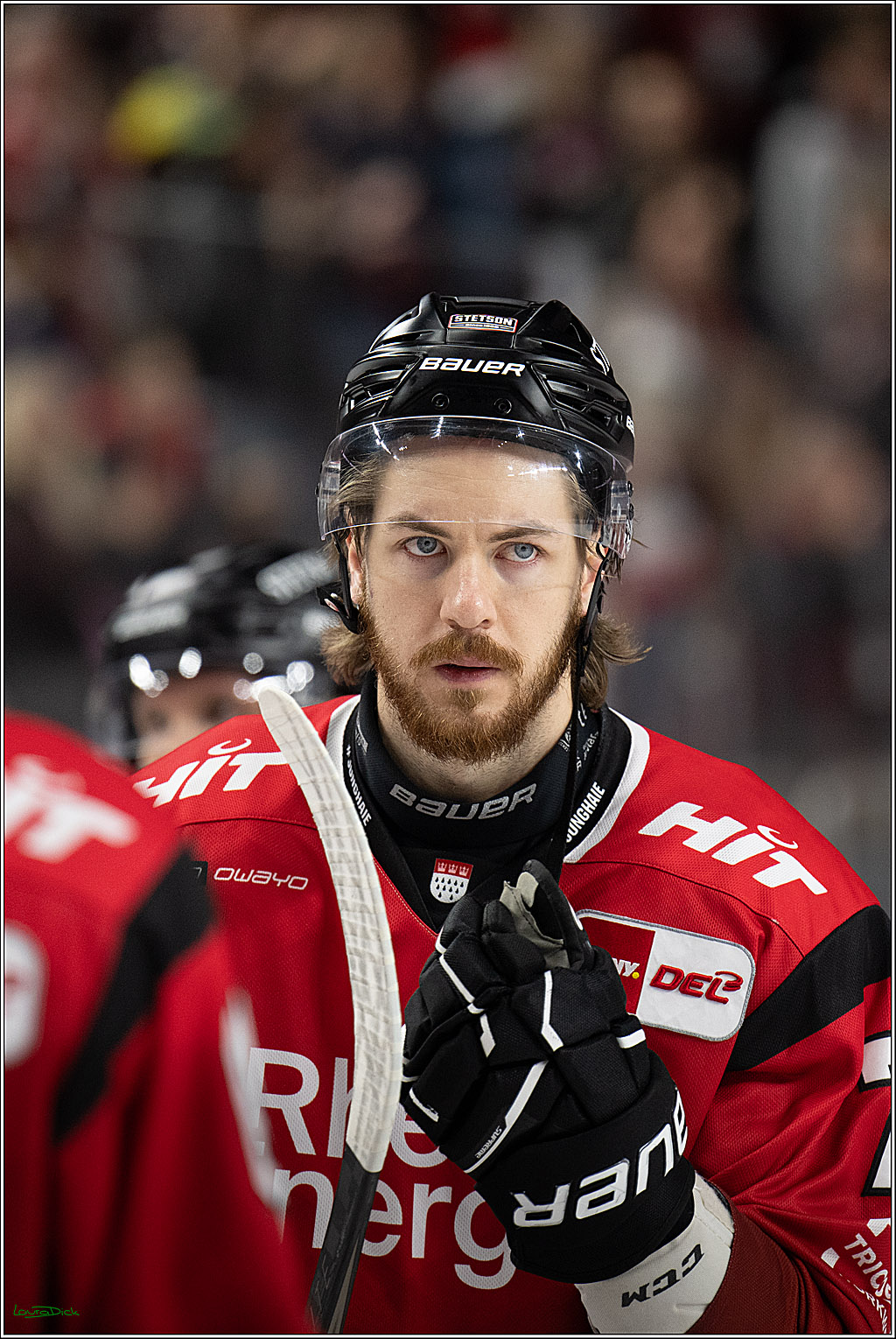 PENNY DEL 1; Koelner Haie - EHC Red Bull Muenchen; Koeln, 02.11.2025