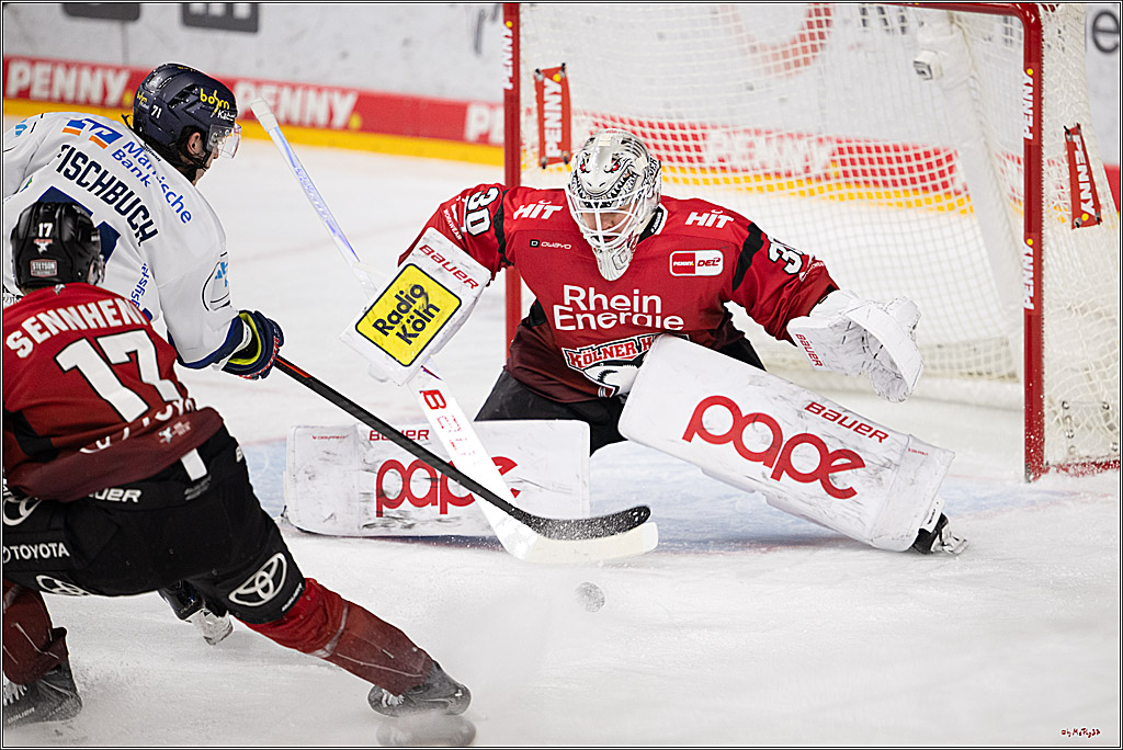 PENNY DEL 1; Kölner Haie - Iserlohn Roosters; Köln, 18.01.2026