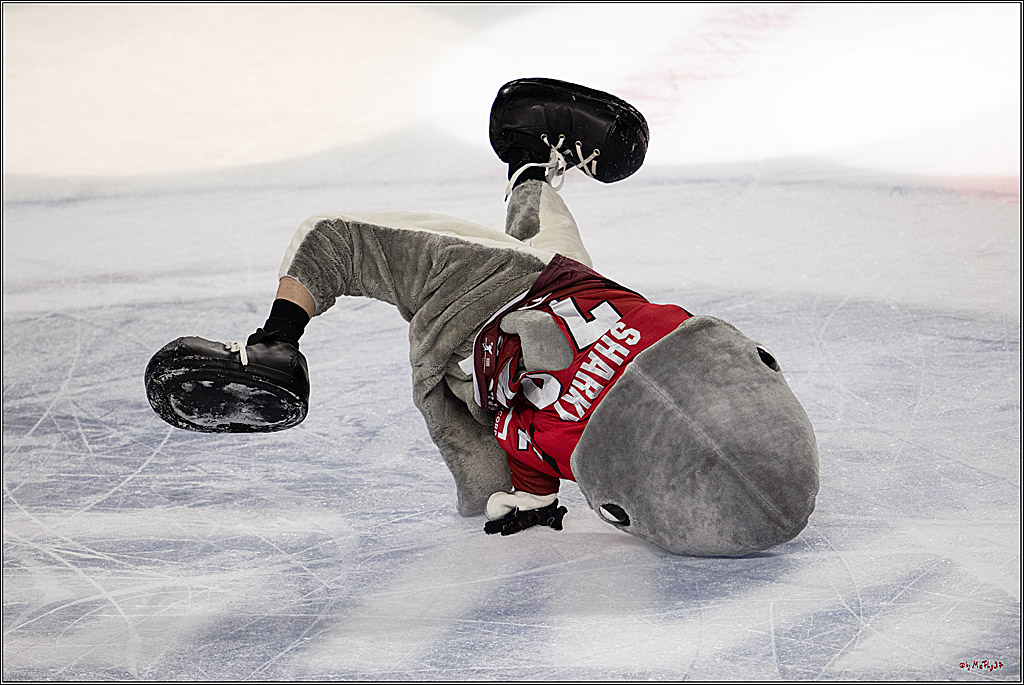 PENNY DEL 1; Kölner Haie - Iserlohn Roosters; Köln, 18.01.2026