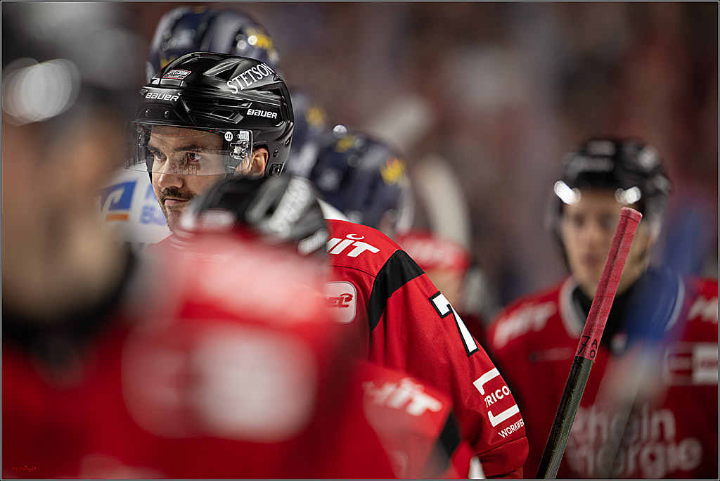 PENNY DEL 1; Kölner Haie - Iserlohn Roosters; Köln, 18.01.2026