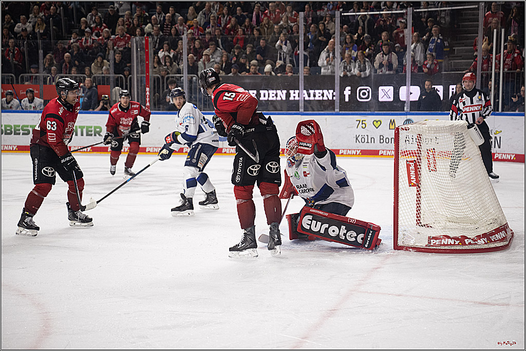 PENNY DEL 1; Kölner Haie - Iserlohn Roosters; Köln, 18.01.2026
