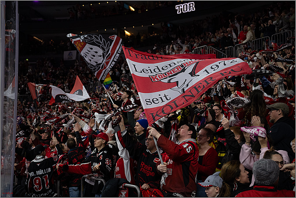 PENNY DEL 1; Kölner Haie - Iserlohn Roosters; Köln, 18.01.2026