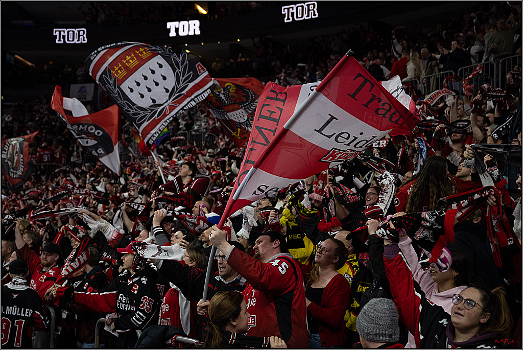 PENNY DEL 1; Kölner Haie - Iserlohn Roosters; Köln, 18.01.2026