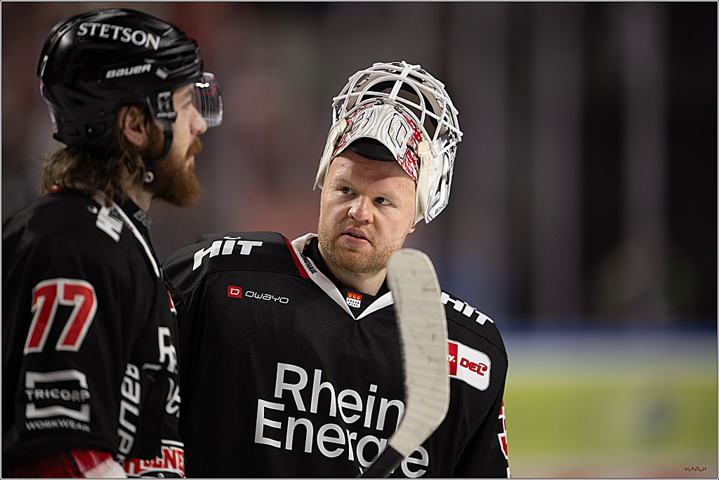 PENNY DEL 1; Kölner Haie - Nürnberg Ice Tigers; Köln, 25.01.2026