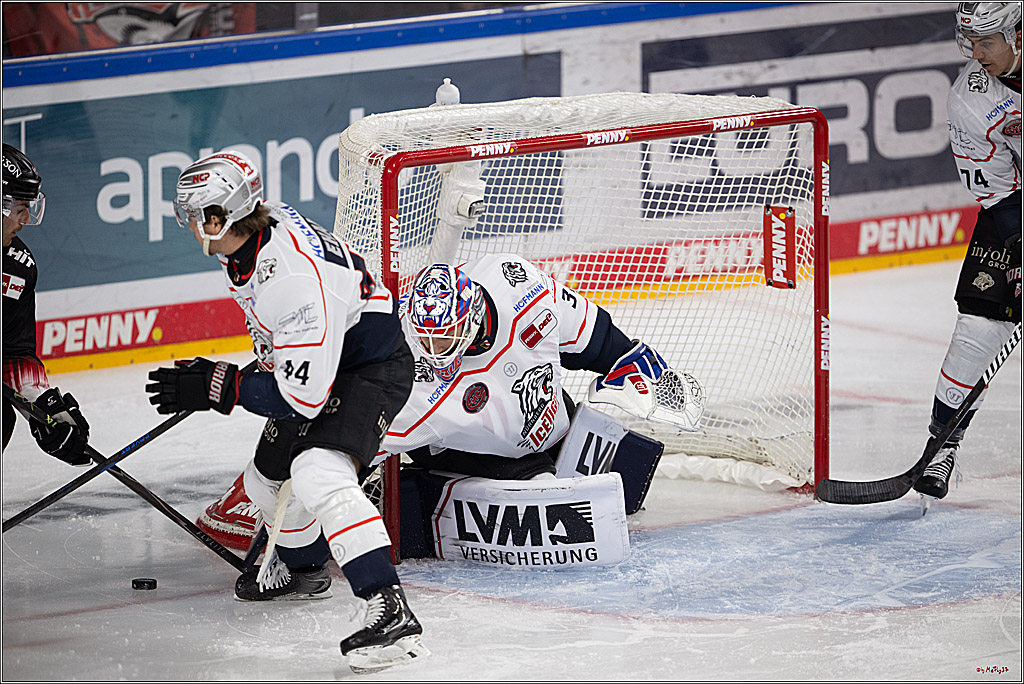 PENNY DEL 1; Kölner Haie - Nürnberg Ice Tigers; Köln, 25.01.2026
