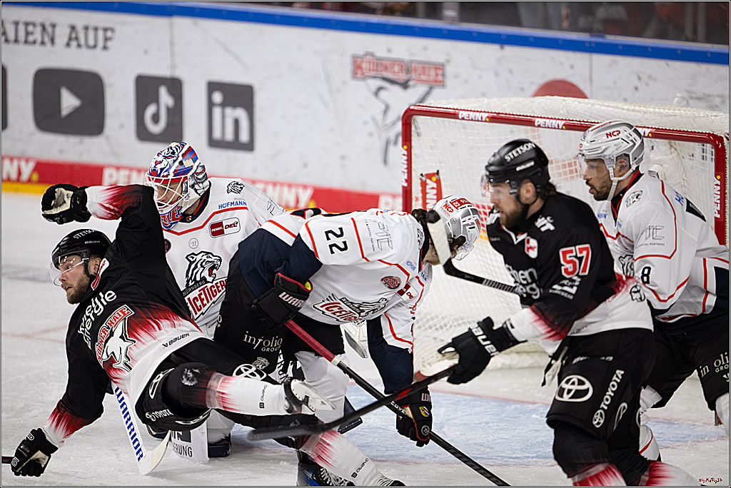 PENNY DEL 1; Kölner Haie - Nürnberg Ice Tigers; Köln, 25.01.2026