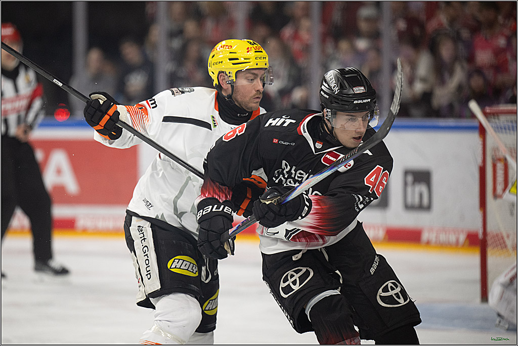 PENNY DEL 1; Kölner Haie - Löwen Frankfurt; Köln, 27.01.2026
