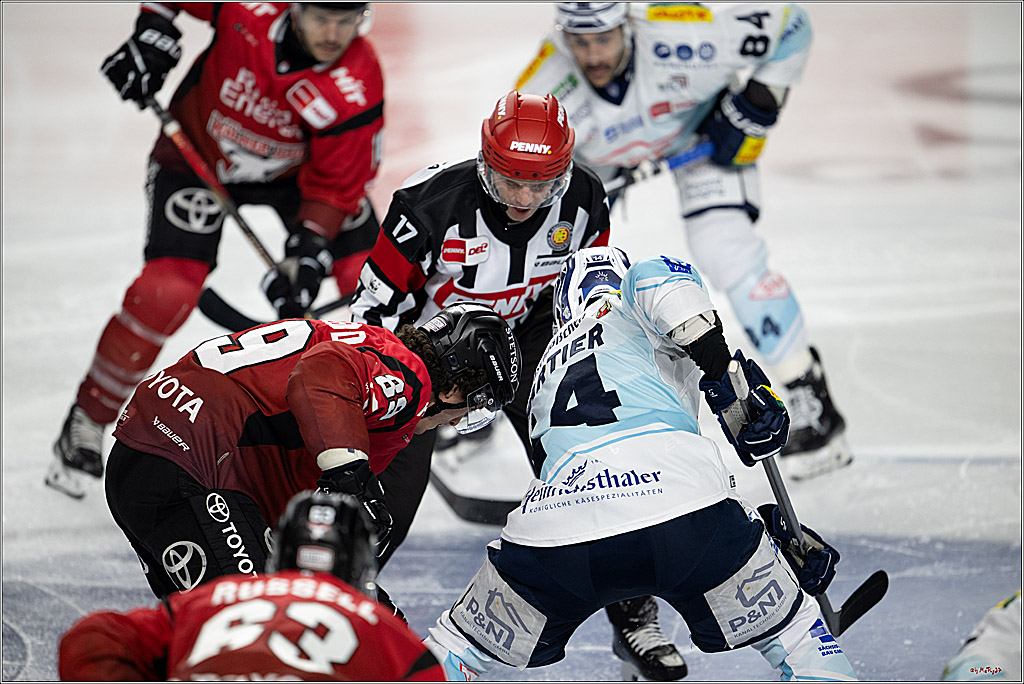 PENNY DEL 1; Kölner Haie - Dresdner Eislöwen; Köln, 25.02.2026