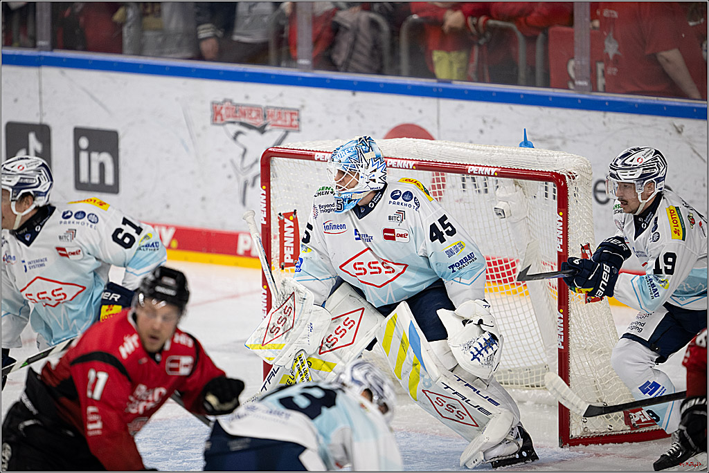 PENNY DEL 1; Kölner Haie - Dresdner Eislöwen; Köln, 25.02.2026