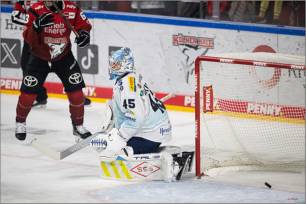 PENNY DEL 1; Kölner Haie - Dresdner Eislöwen; Köln, 25.02.2026