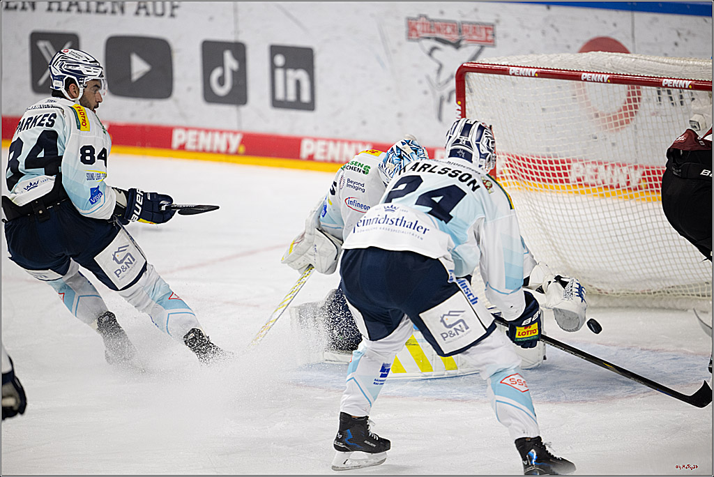 PENNY DEL 1; Kölner Haie - Dresdner Eislöwen; Köln, 25.02.2026