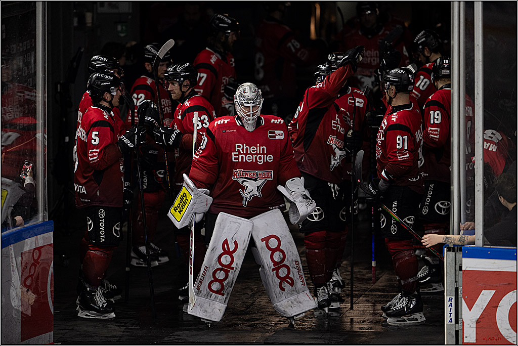 PENNY DEL 1; Kölner Haie - Dresdner Eislöwen; Köln, 25.02.2026
