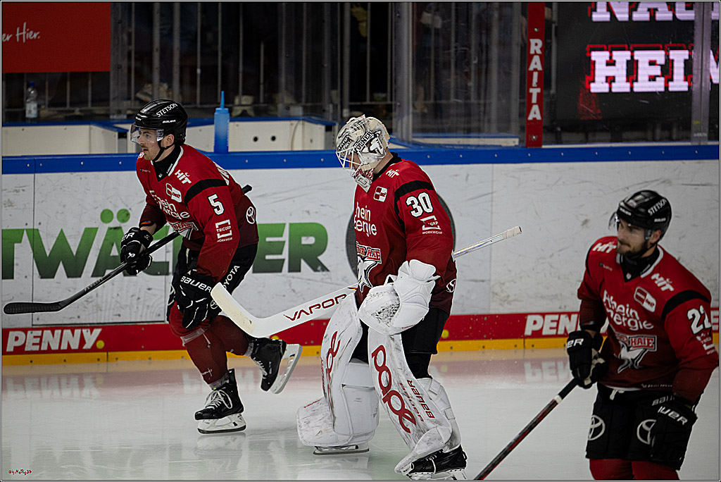 PENNY DEL 1; Kölner Haie - Dresdner Eislöwen; Köln, 25.02.2026