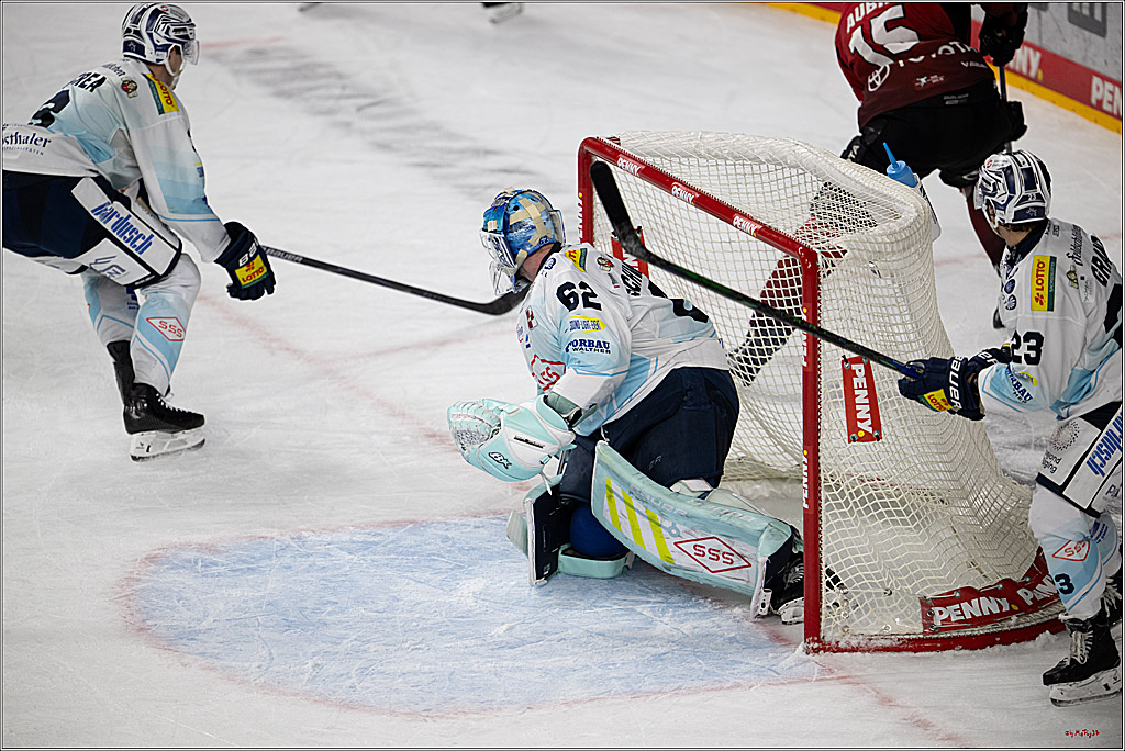 PENNY DEL 1; Kölner Haie - Dresdner Eislöwen; Köln, 25.02.2026