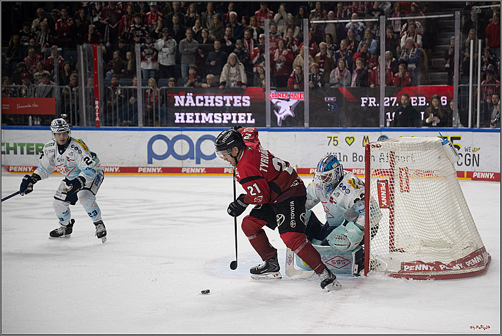 PENNY DEL 1; Kölner Haie - Dresdner Eislöwen; Köln, 25.02.2026