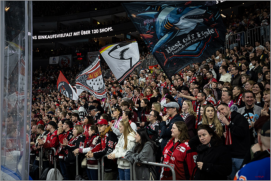PENNY DEL 1; Kölner Haie - Dresdner Eislöwen; Köln, 25.02.2026