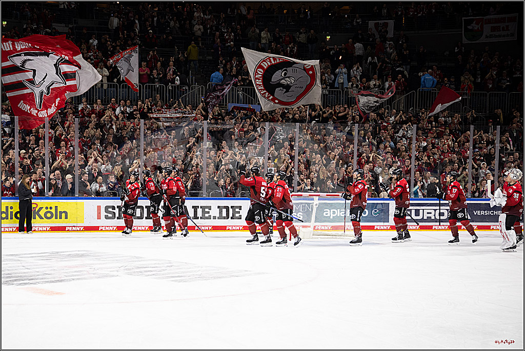 PENNY DEL 1; Kölner Haie - Dresdner Eislöwen; Köln, 25.02.2026