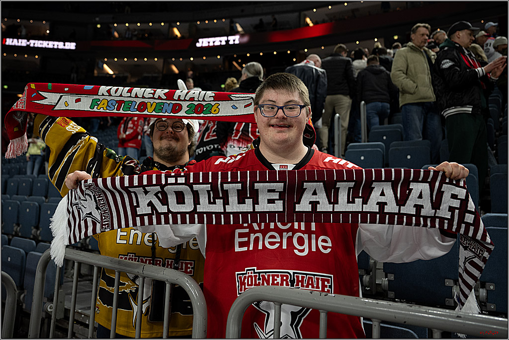 PENNY DEL 1; Kölner Haie - Dresdner Eislöwen; Köln, 25.02.2026