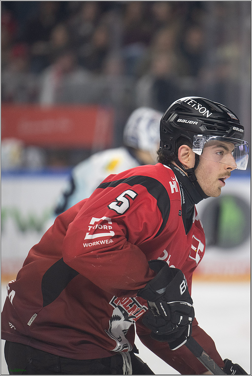 PENNY DEL 1; Kölner Haie - Dresdner Eislöwen; Köln, 25.02.2026